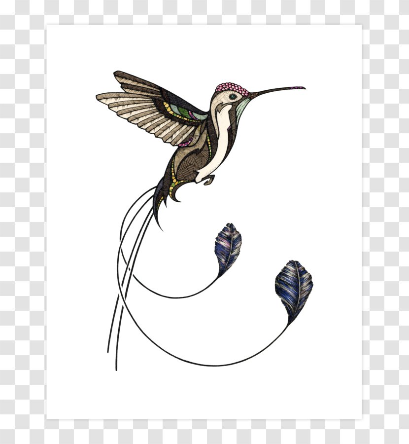 T-shirt Hummingbird Drawing - Beak Transparent PNG