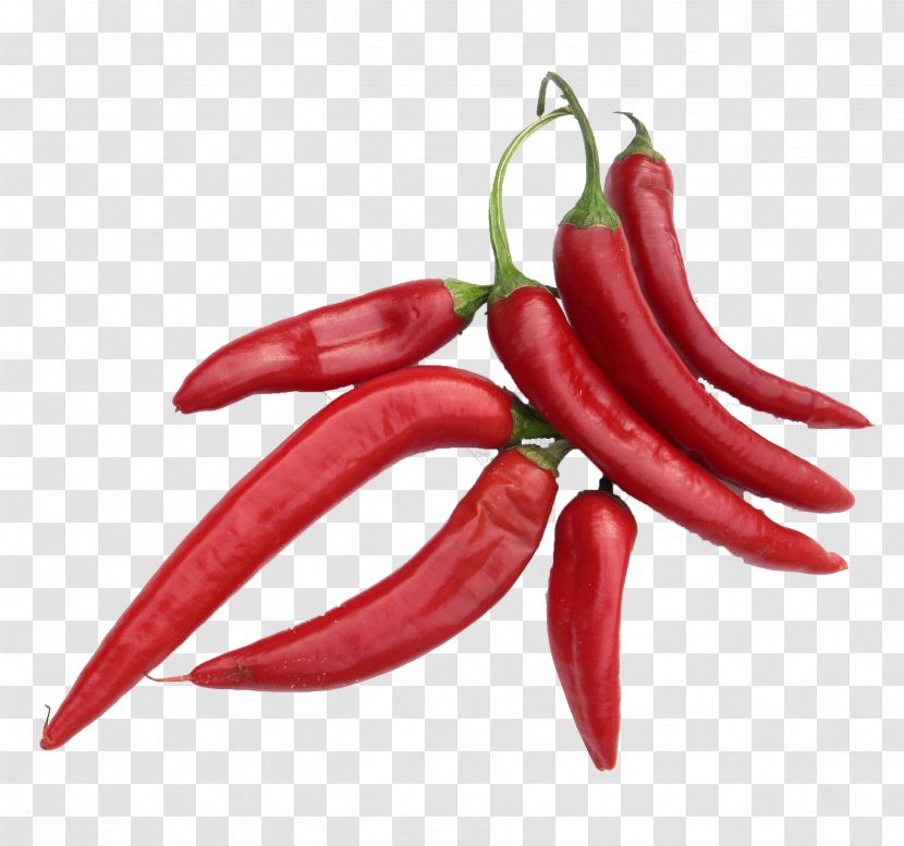 Chili Pepper Cayenne Tabasco Peperoncino Spice - Capsicum Annuum Transparent PNG