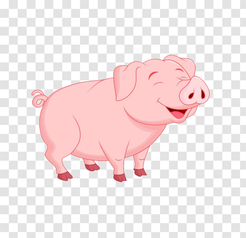 Pig Vector Graphics Image Cartoon - Like Mammal Transparent PNG
