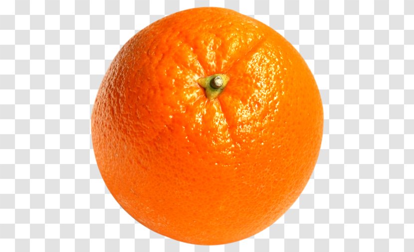 Orange Juice Tangerine Tangelo Grapefruit - Citrus Transparent PNG