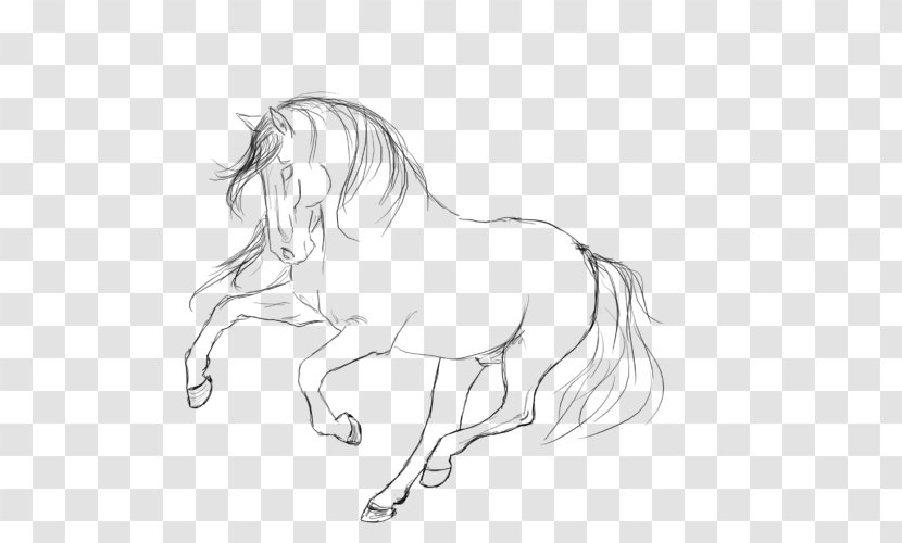 Mane Horse Pony Line Art Sketch Transparent PNG