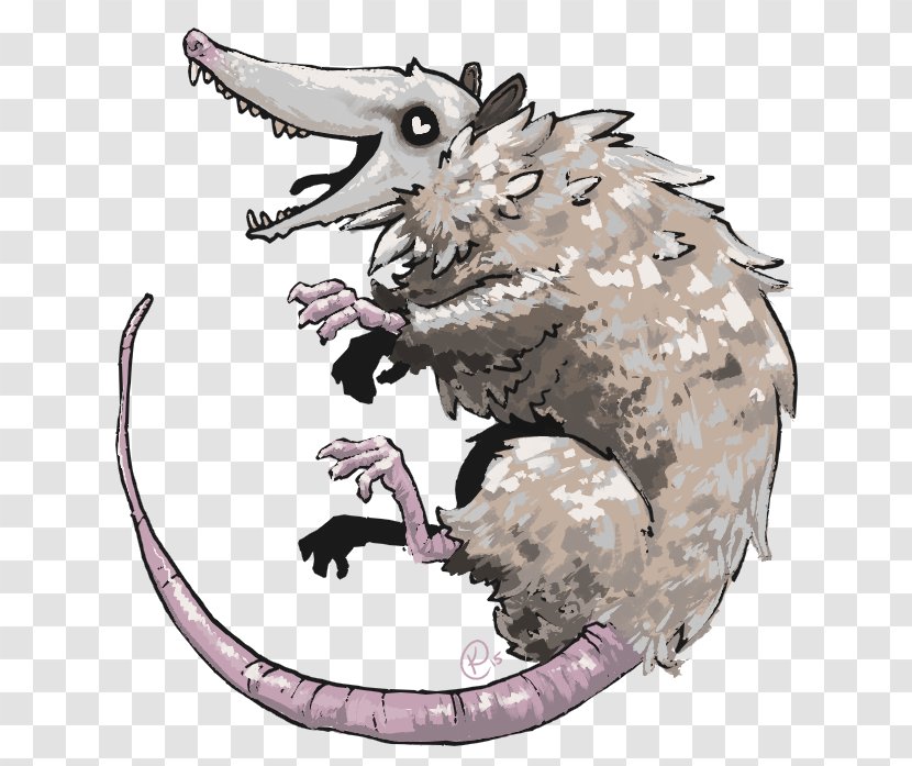 Opossum Pacific Crest Trail Sketchbook Snout Carnivora - Fictional Character - Cartoon Transparent PNG