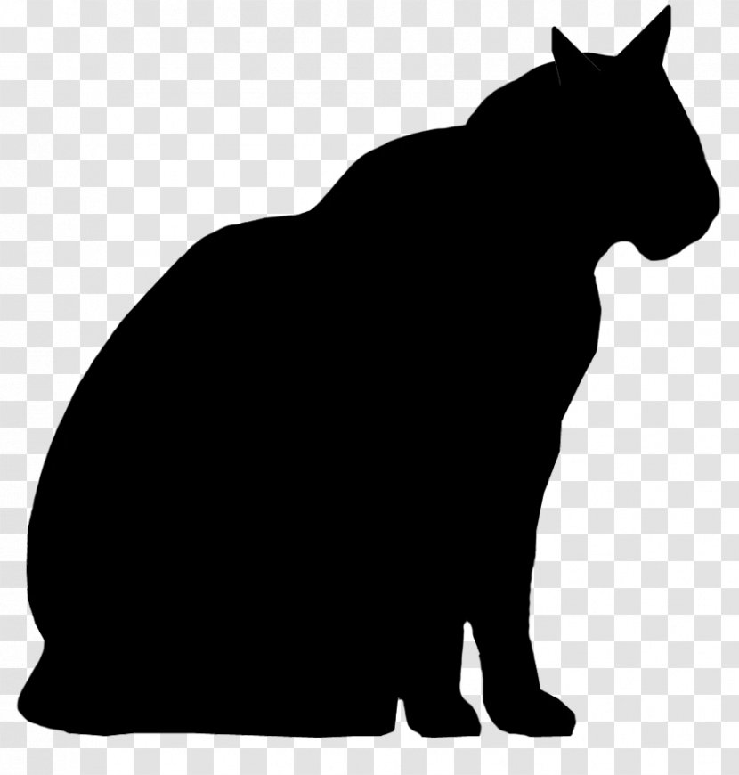 Whiskers Black Cat Silhouette Wildcat - Big Transparent PNG