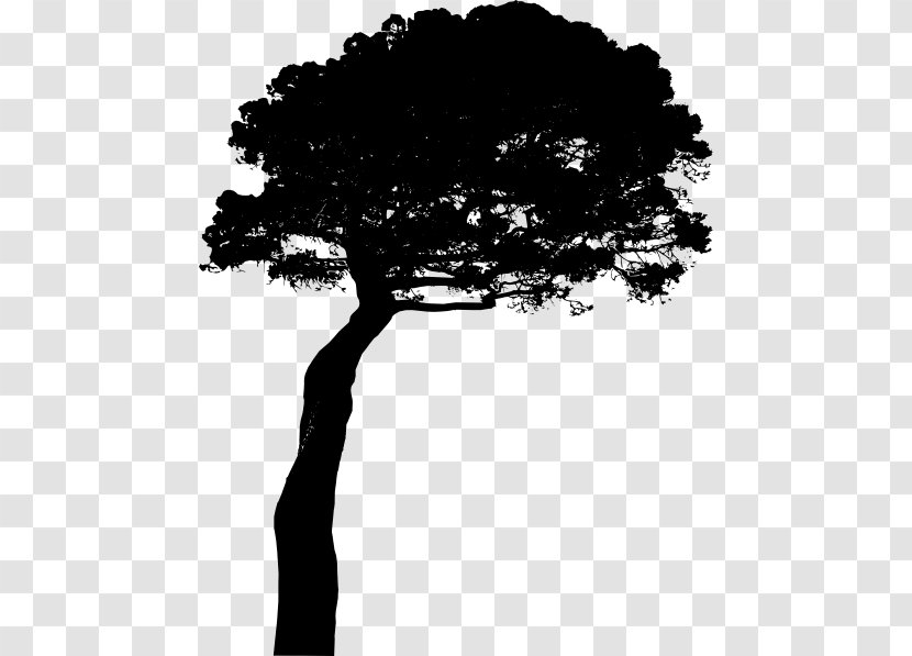 Stone Pine Tree Clip Art - Silhouette Transparent PNG