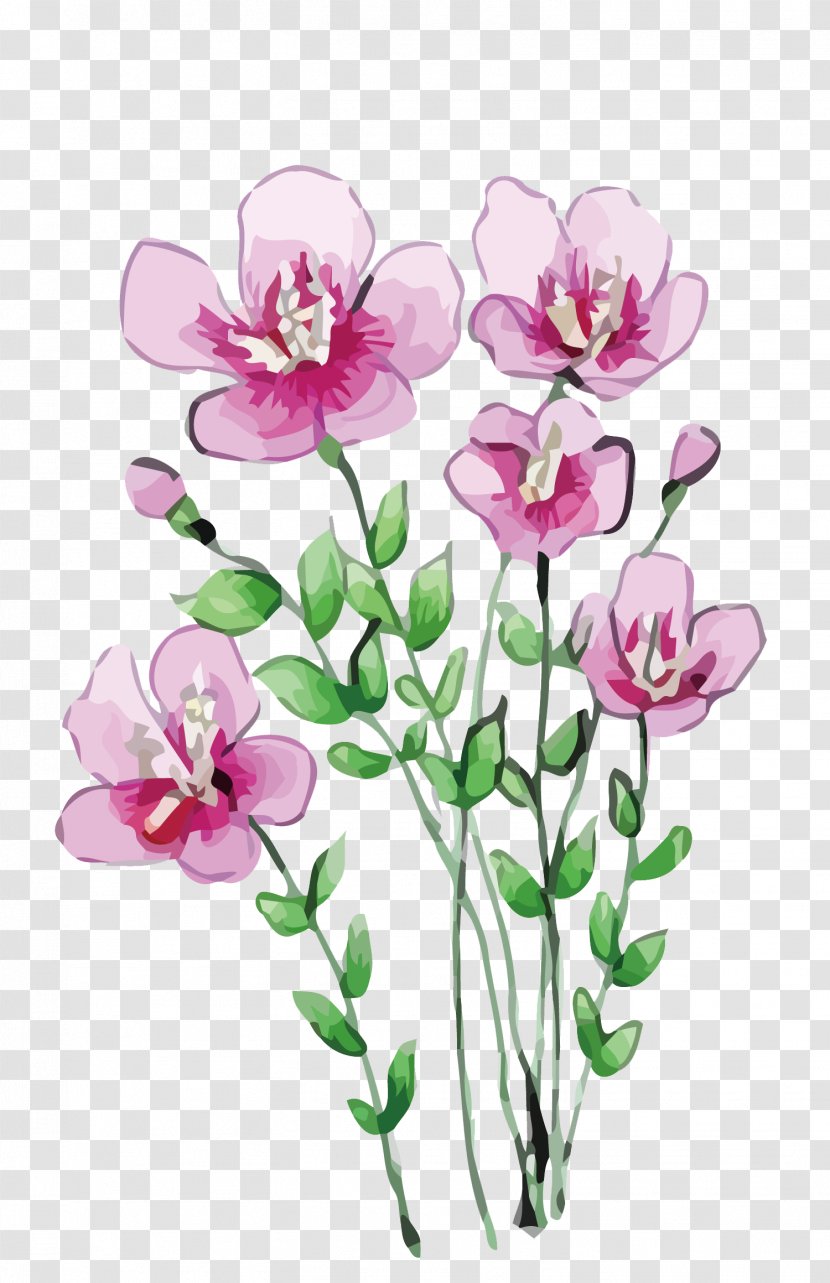 Cartoon Illustration - Magenta - Vector Purple Flowers Transparent PNG