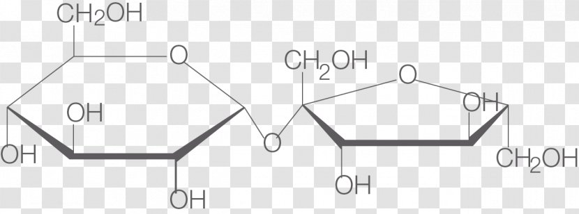 Sucrose Sugar Molecule Matter Photosynthesis - Paper - Saccharum Officinarum Transparent PNG