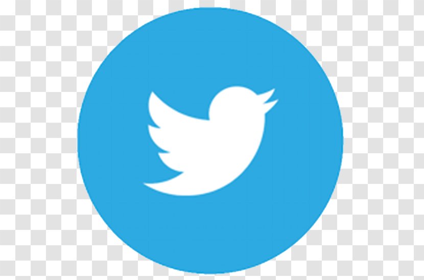 Social Media Logo - Blue Transparent PNG