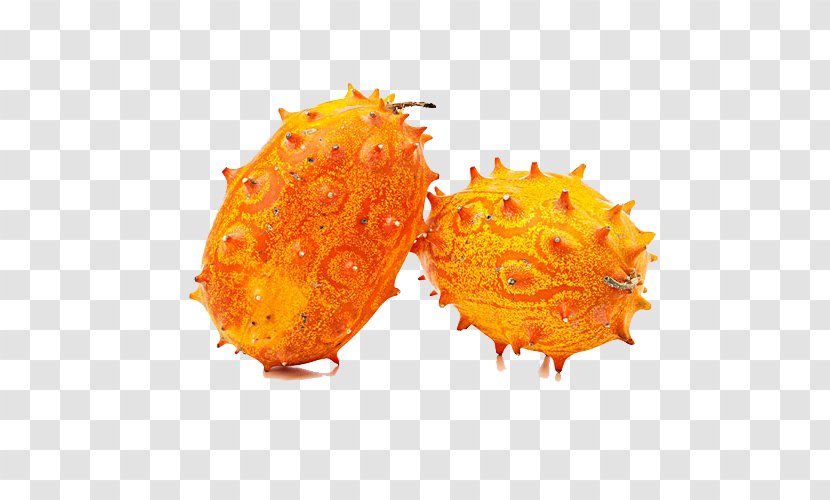 Horned Melon Cucumber Fruit Stock Photography - Vegetable - Horn Of Africa Transparent PNG
