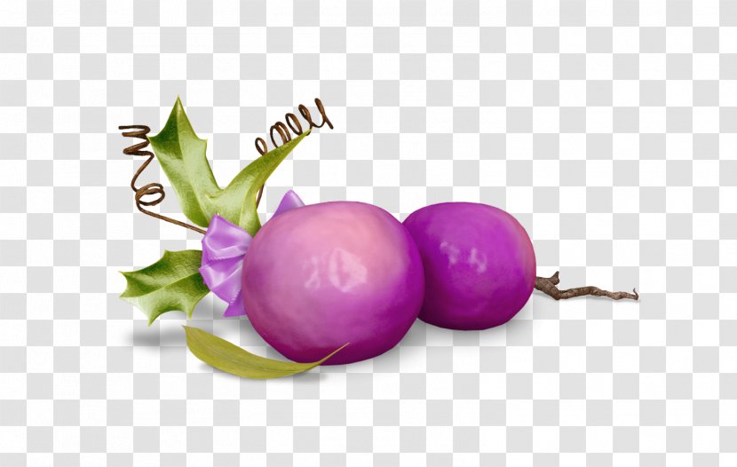 Turnip Fruit - Purple - Frutos Transparent PNG