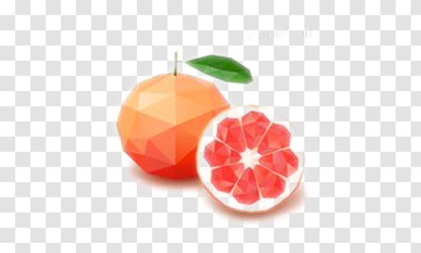 Fruit Geometry - Grapefruit - Pomegranate Orange Vector Transparent PNG