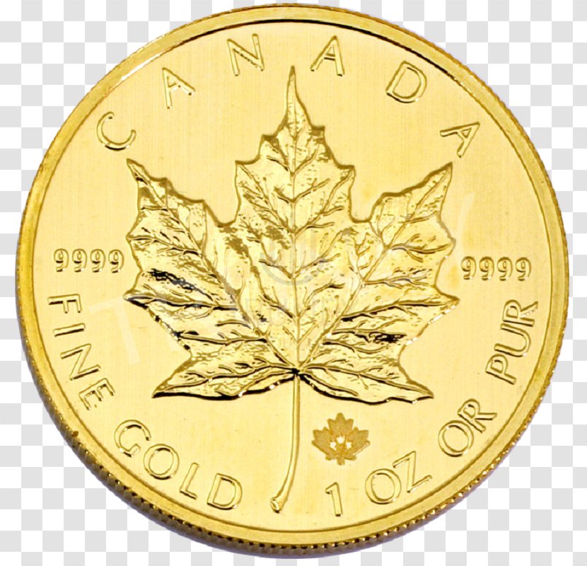Coin Australian Gold Nugget Numismatics Medal - November Transparent PNG