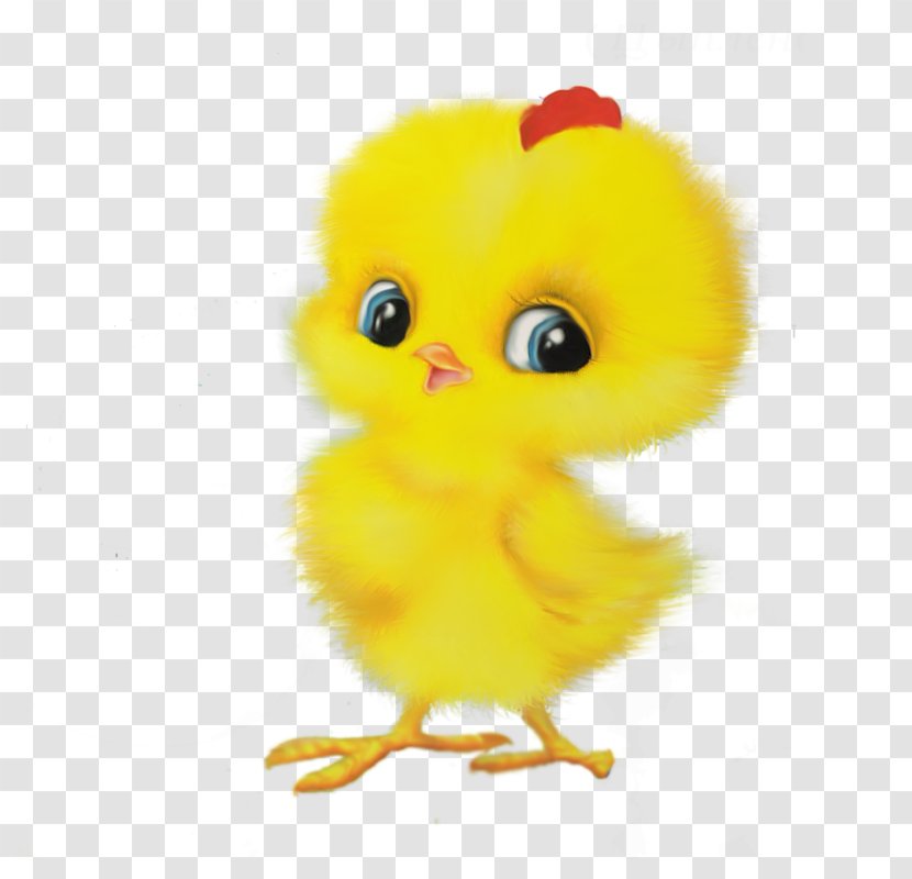 Chicken Child Game Easter Egger - Age - Cute Chick Animal Transparent PNG