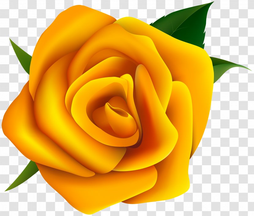 Rose Yellow Clip Art - Order Transparent PNG