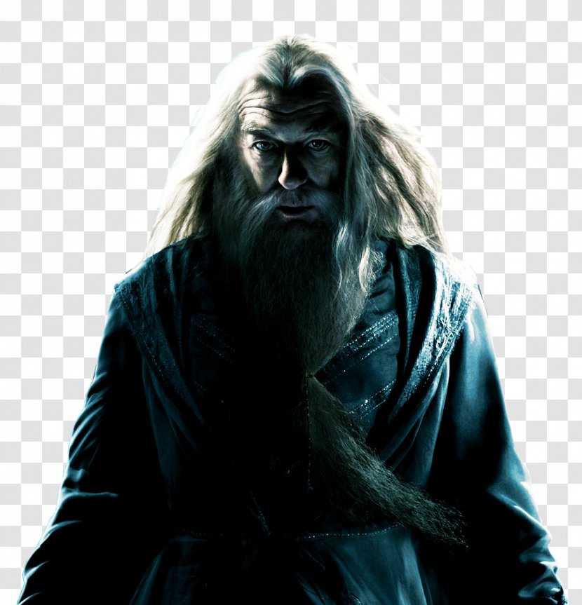 Lord Voldemort Harry Potter And The Half-Blood Prince Albus Dumbledore Film - Fandom Transparent PNG
