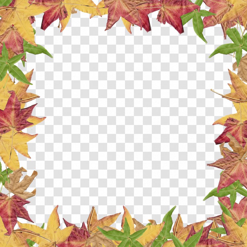 Autumn Leaf Color Clip Art - Border Leaves Cliparts Transparent PNG
