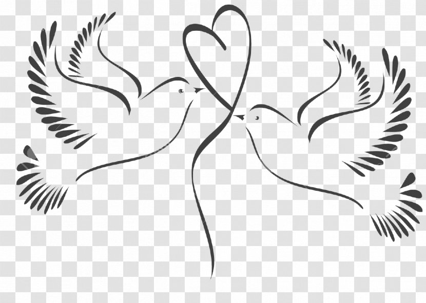 Pigeons And Doves Clip Art Wedding Vector Graphics Illustration - Cartoon Transparent PNG