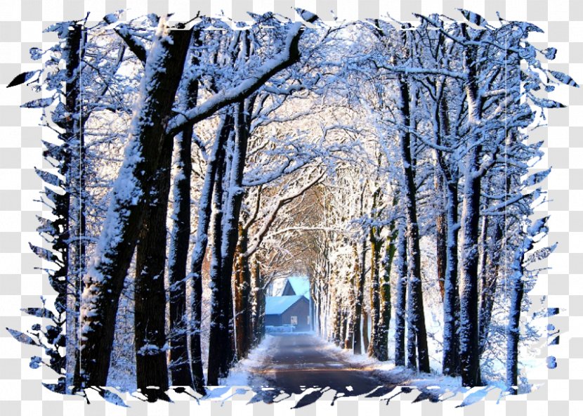 Winter Desktop Wallpaper - Snow Transparent PNG