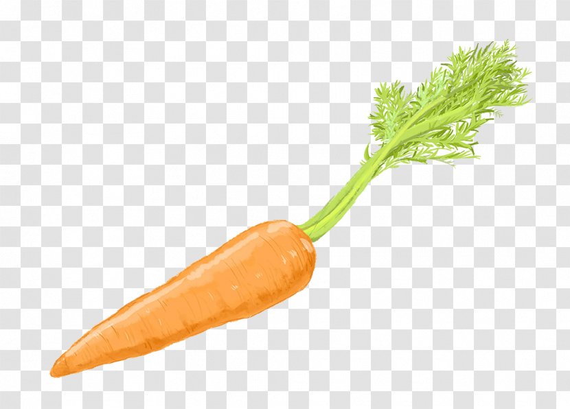 Carrot Cake Baby Vegetable - Eggplant Transparent PNG