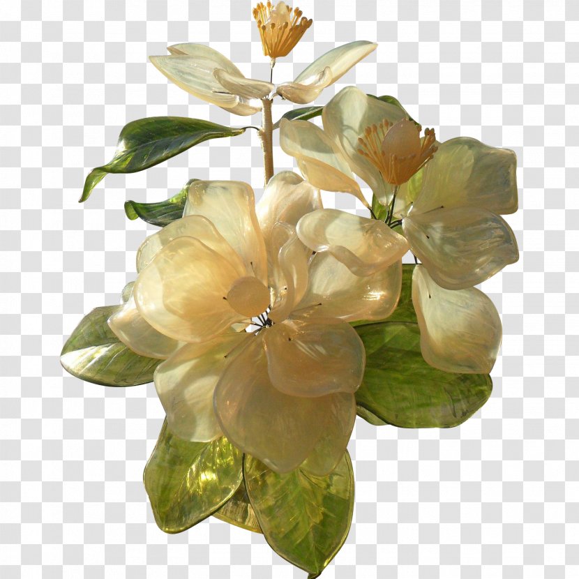 Cut Flowers - Flower - Flowering Plant Transparent PNG