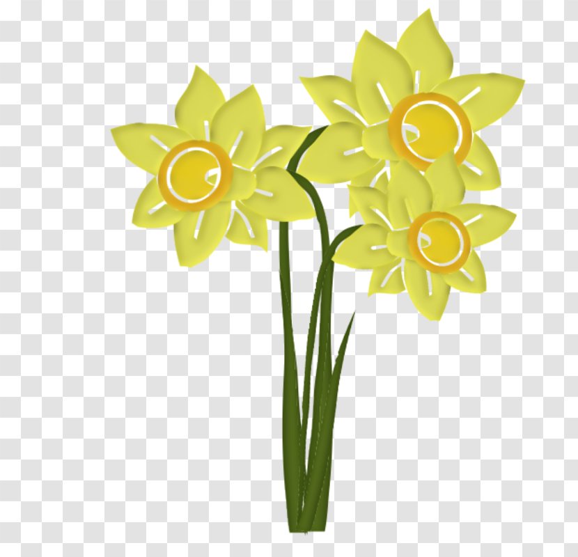 Clip Art Daffodil Image Flower - Irises Transparent PNG