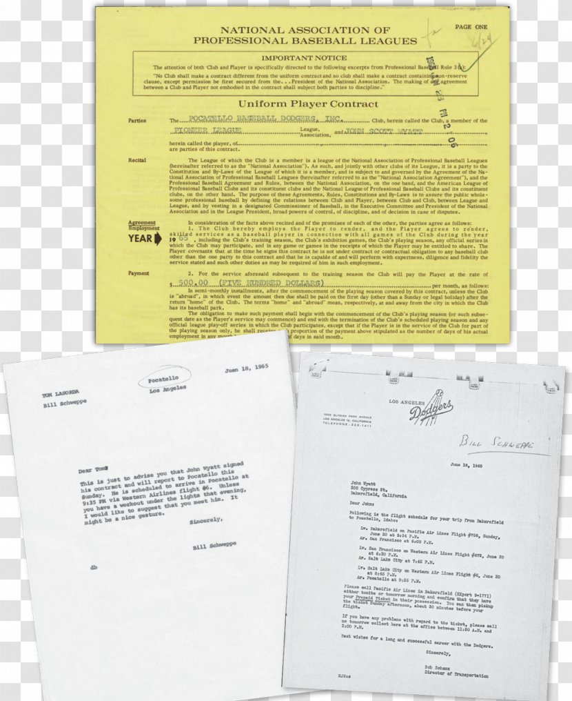 Document Brand - Text - Steve Garvey Transparent PNG