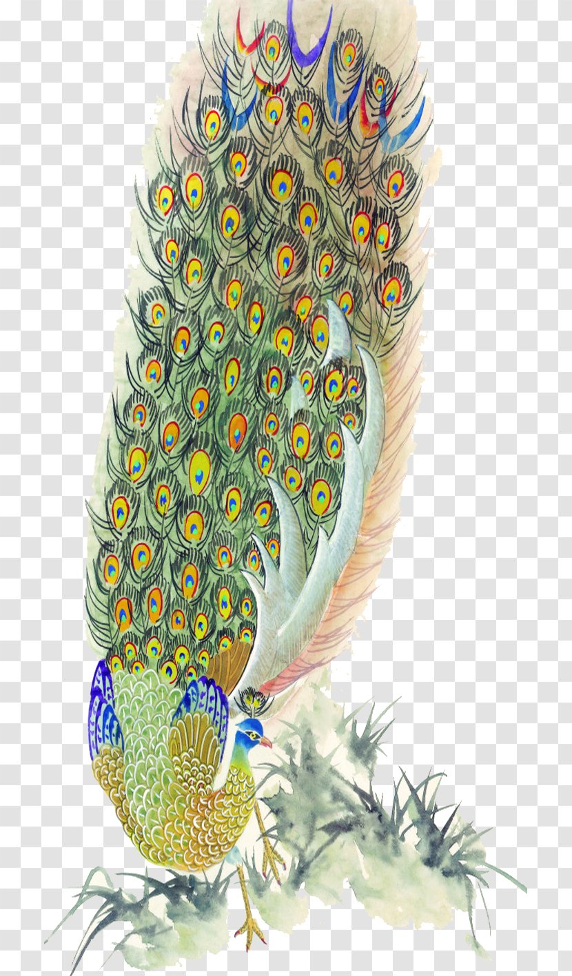 Bird Peafowl Feather Painting - Galliformes - Peacock Transparent PNG