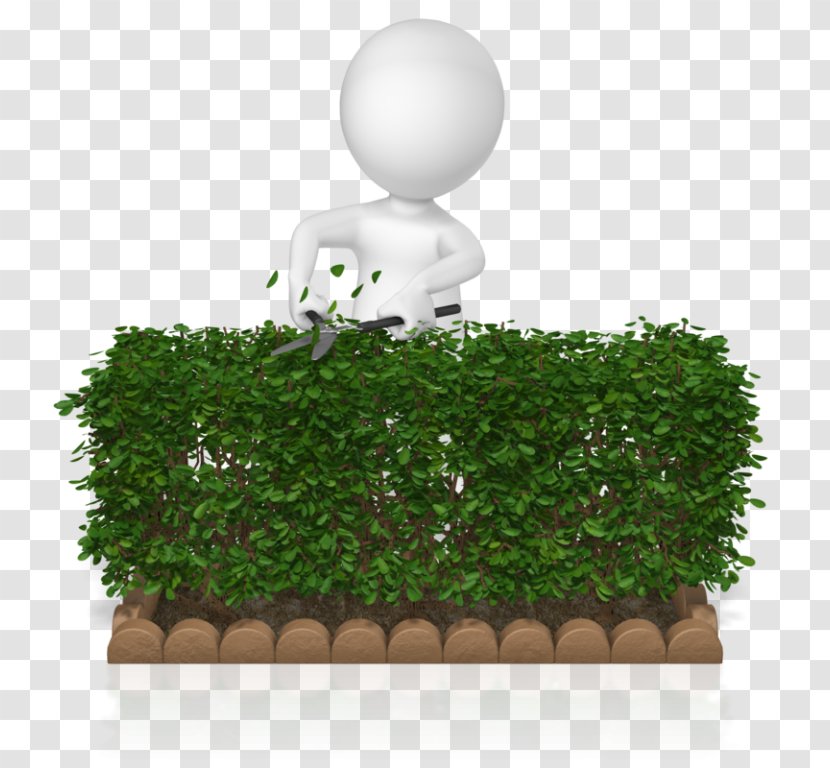 Hedge Fund GIF Animation Pruning - Stock - Hedges Streamer Transparent PNG