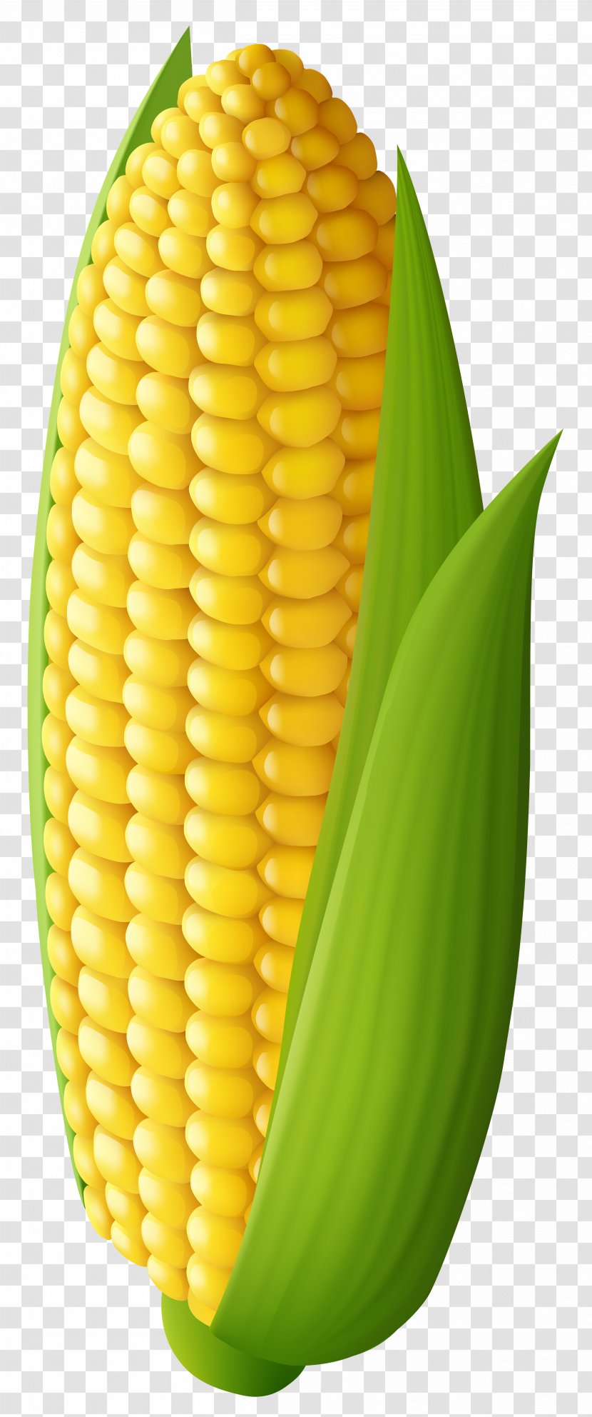 Corn On The Cob Maize Sweet Clip Art - Cauliflower Transparent PNG