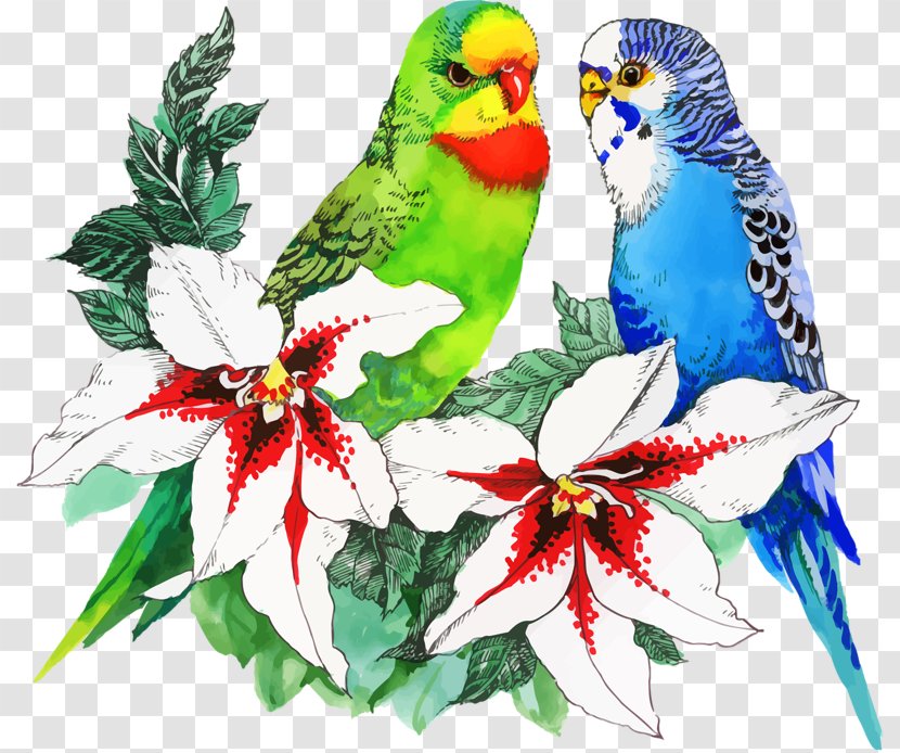 Bird Parrot Flower Drawing - Creative Arts Transparent PNG