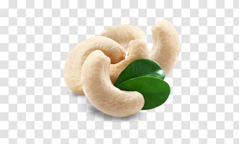 Nut Cashew Dried Fruit Food IStock - Nuts Seeds Transparent PNG