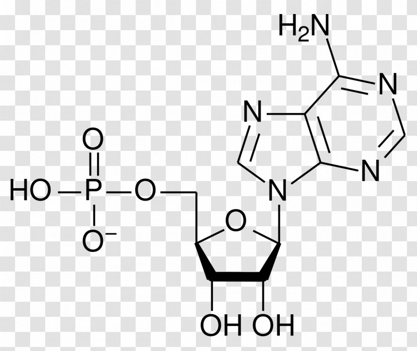 Adenosine Monophosphate Ribonucleotide Ribose - Silhouette Transparent PNG