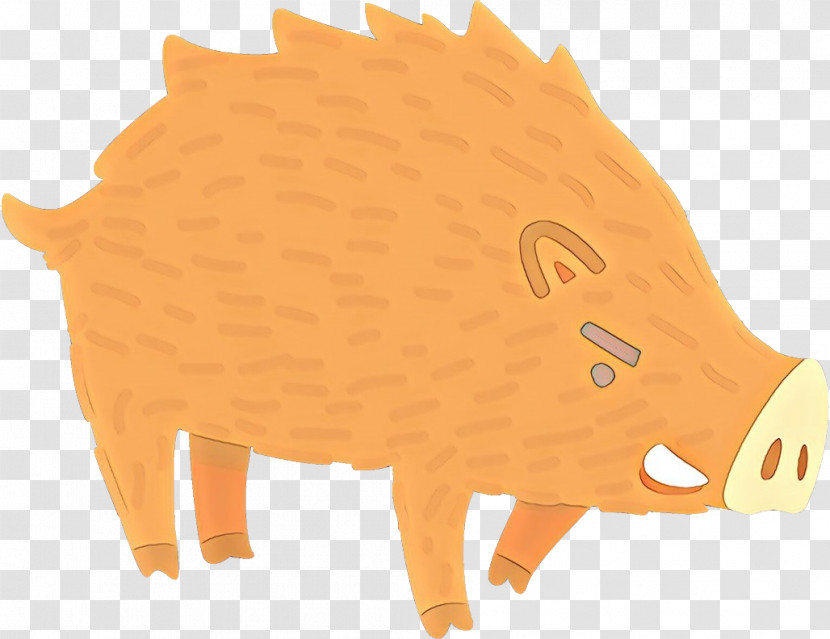 Boar Hedgehog Livestock Snout Suidae Transparent PNG