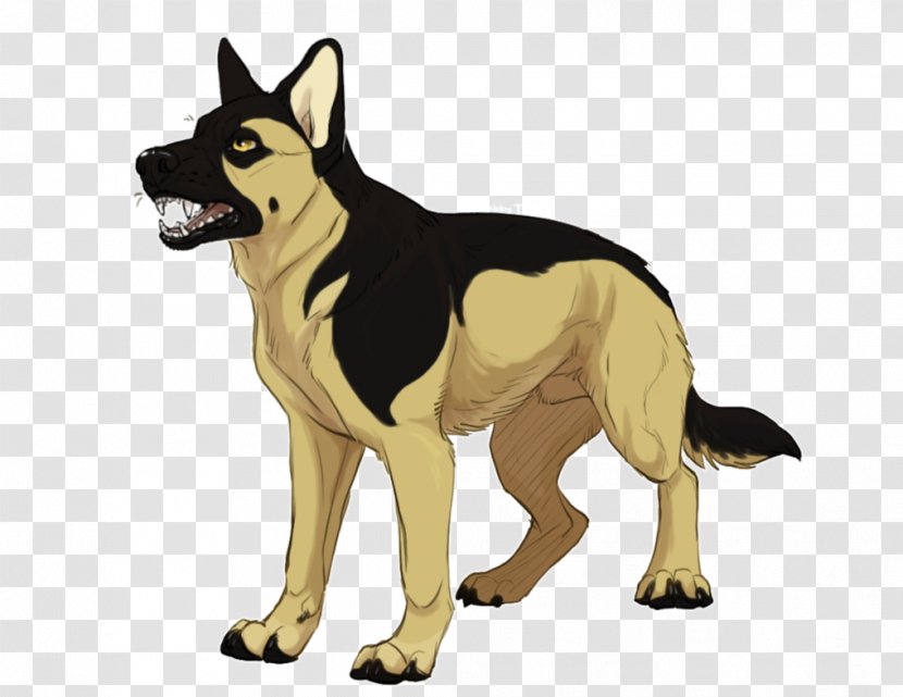 German Shepherd Kunming Wolfdog Dog Breed Snout - Kennel Club Transparent PNG