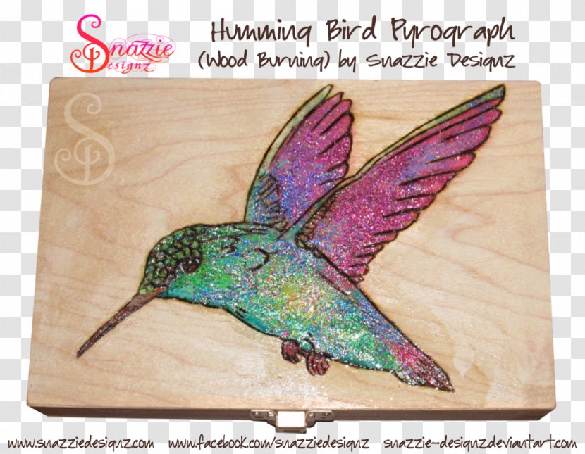 Hummingbird DeviantArt Pyrography Artist - Wing - BURNT WOOD Transparent PNG