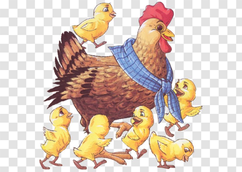 Rooster Chicken Kifaranga Hen Bird - Poultry Transparent PNG