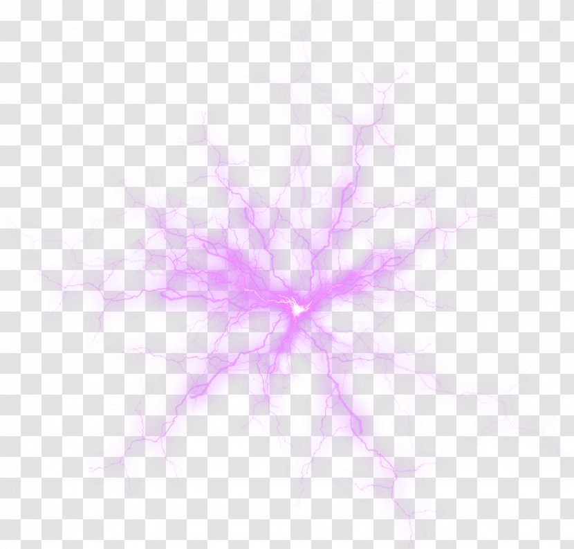 Symmetry Pink Petal Pattern - Texture - Magic Light Effects Pictures Transparent PNG