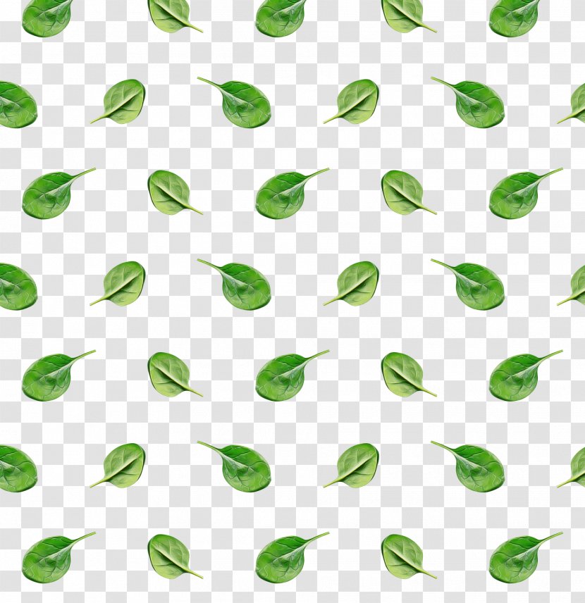 Green Pattern Leaf Line Plant Transparent PNG