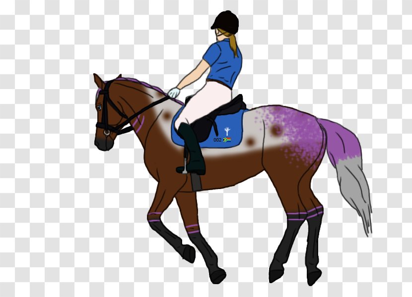 Hunt Seat Mane Horse Bridle Stallion - Harnesses Transparent PNG