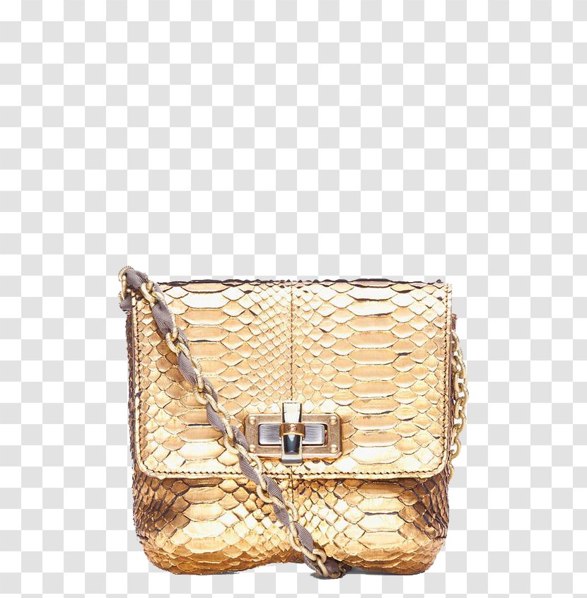 Handbag Chanel Leather Tote Bag Shoe - Brown - Golden Alligator Small Sachet Transparent PNG
