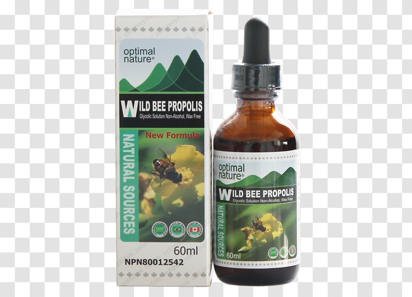 Bee Propolis Brazil Liquid Health - Watercolor Transparent PNG