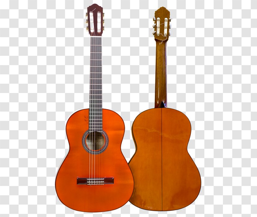 Tiple Ukulele Acoustic Guitar Cuatro Cavaquinho - Flower Transparent PNG
