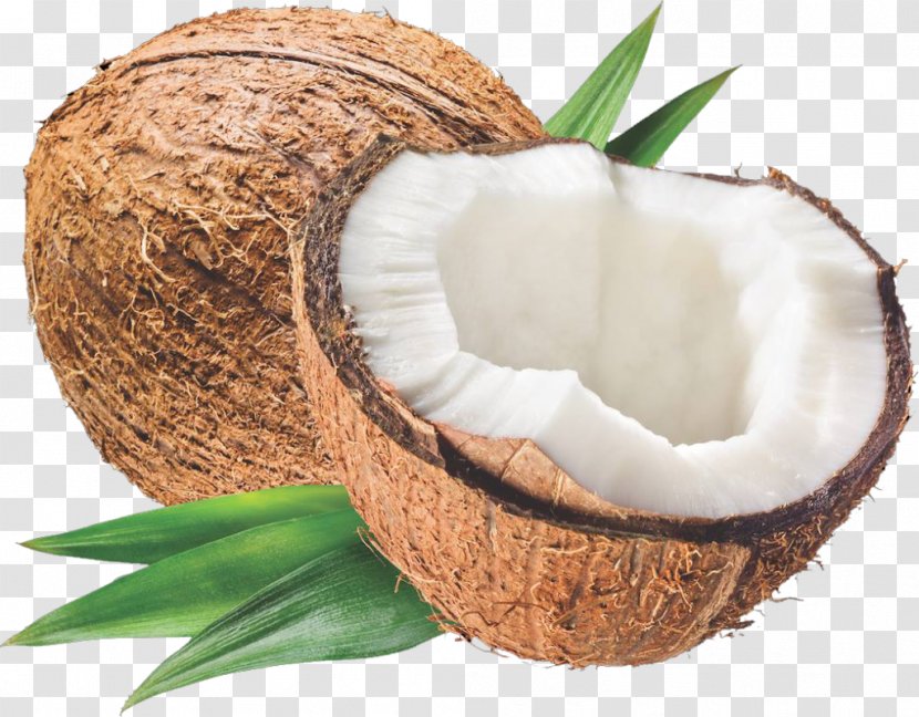 Coconut Oil Carrier Milk Cream Transparent PNG