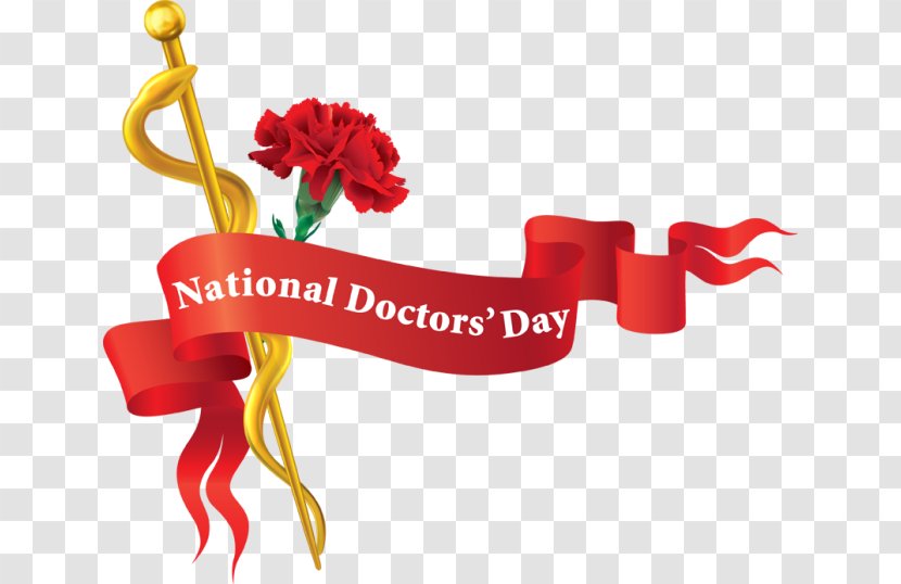 National Doctors' Day Physician Health Clip Art Transparent PNG