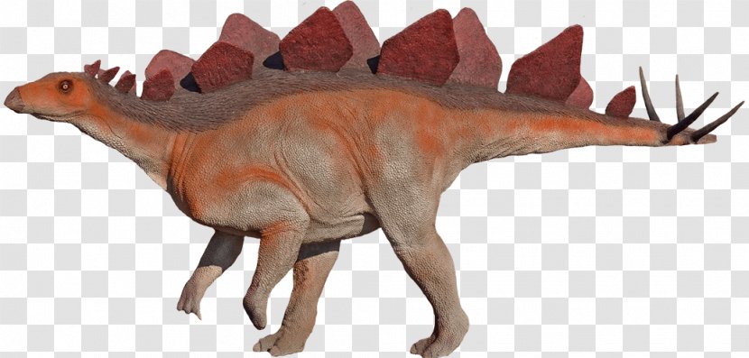 Moab Giants Velociraptor Hesperosaurus Stegosaurus Morrison Formation - Dinosaur Museum Transparent PNG