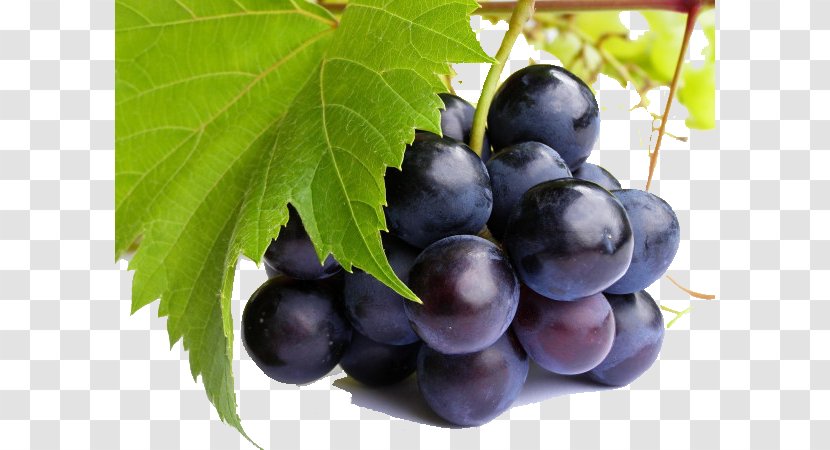 Pinot Noir Juice Meunier Grape-Nuts - Seedless Fruit - Grape Transparent PNG