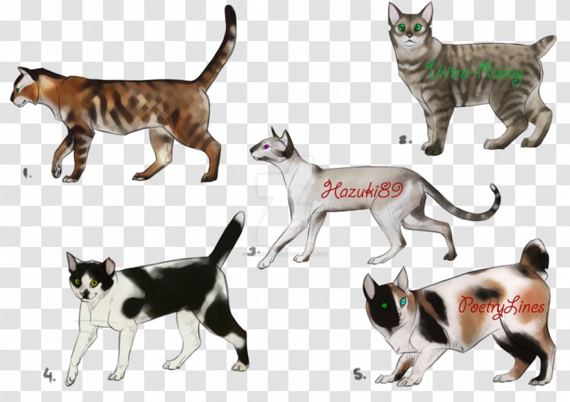 Sokoke Digital Art Drawing Domestic Short-haired Cat - Wildlife - Painting Transparent PNG