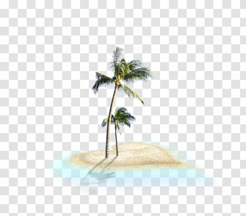 Beach Tree Clip Art - Leaf Transparent PNG