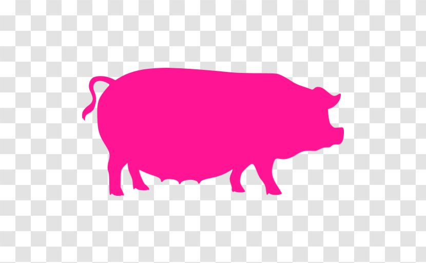 Domestic Pig Butcher Diagram Bacon - Pink Transparent PNG