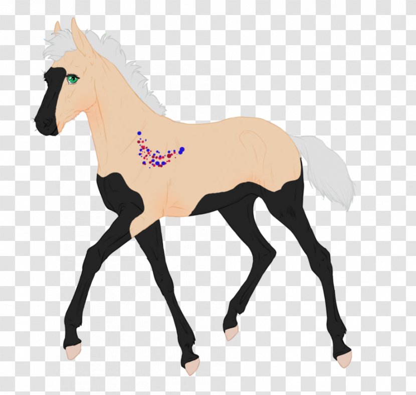 Mustang Foal Pony Colt Stallion - Horse Transparent PNG