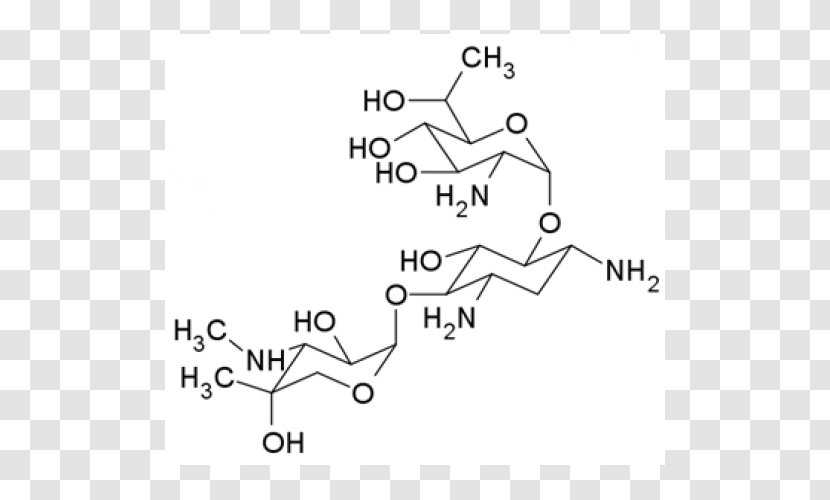 G418 Neomycin Technology Phosphoric Acid Angle - Black And White - Eukaryotic Cell Transparent PNG